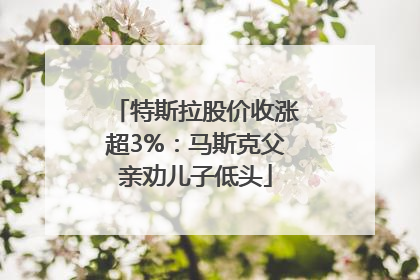特斯拉股价收涨超3%：马斯克父亲劝儿子低头