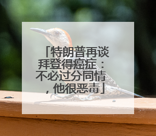 特朗普再谈拜登得癌症：不必过分同情，他很恶毒