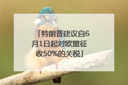 特朗普建议自6月1日起对欧盟征收50%的关税