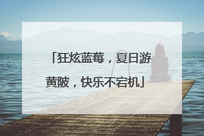 狂炫蓝莓，夏日游黄陂，快乐不宕机