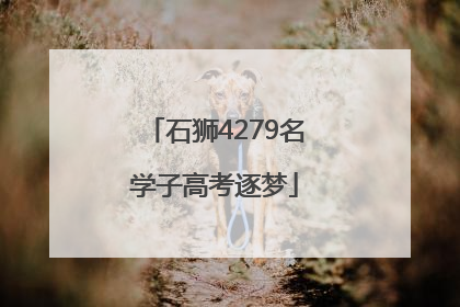 石狮4279名学子高考逐梦