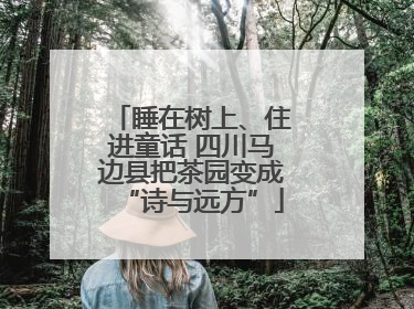 睡在树上、住进童话 四川马边县把茶园变成“诗与远方”