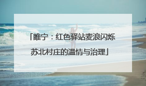 睢宁：红色驿站麦浪闪烁 苏北村庄的温情与治理