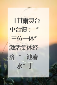 甘肃灵台中台镇：“三位一体”激活集体经济“一池春水”
