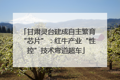 甘肃灵台建成自主繁育“芯片”：红牛产业“性控”技术弯道超车