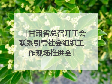 甘肃省总召开工会联系引导社会组织工作现场推进会