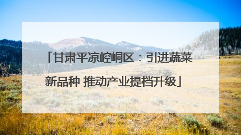 甘肃平凉崆峒区：引进蔬菜新品种 推动产业提档升级