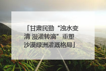 甘肃民勤“浊水变清 漫灌转滴”重塑沙漠绿洲灌溉格局