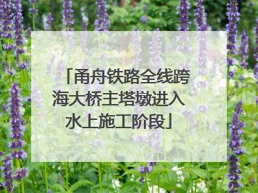甬舟铁路全线跨海大桥主塔墩进入水上施工阶段