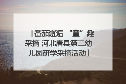 番茄邂逅 “童”趣采摘 河北唐县第二幼儿园研学采摘活动