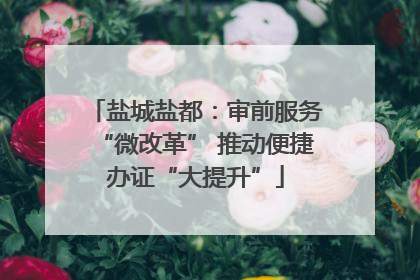 盐城盐都：审前服务“微改革” 推动便捷办证“大提升”