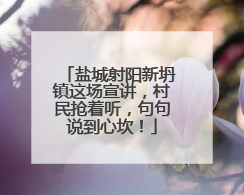 盐城射阳新坍镇这场宣讲，村民抢着听，句句说到心坎！