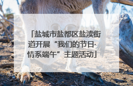 盐城市盐都区盐渎街道开展“我们的节日·情系端午”主题活动