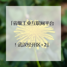 省级工业互联网平台！武汉经开区+2
