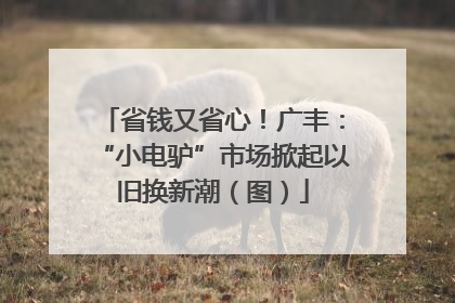 省钱又省心！广丰：“小电驴”市场掀起以旧换新潮（图）