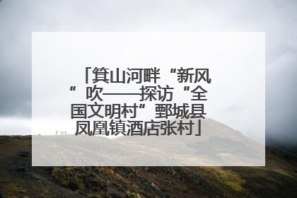 箕山河畔“新风”吹——探访“全国文明村”鄄城县凤凰镇酒店张村