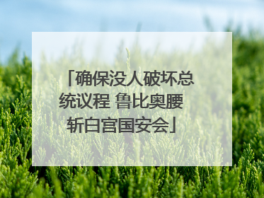 确保没人破坏总统议程 鲁比奥腰斩白宫国安会