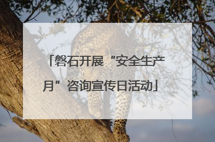 磐石开展“安全生产月”咨询宣传日活动