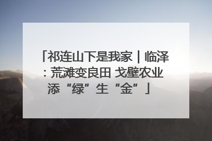 祁连山下是我家｜临泽：荒滩变良田 戈壁农业添“绿”生“金”