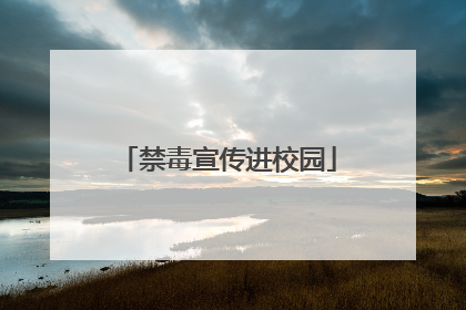 禁毒宣传进校园