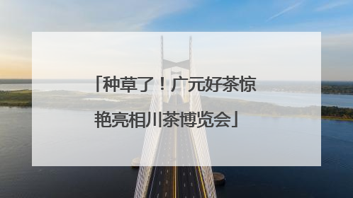 种草了！广元好茶惊艳亮相川茶博览会