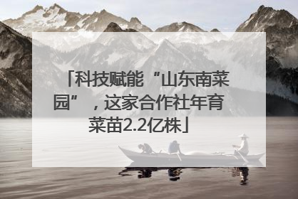 科技赋能“山东南菜园”，这家合作社年育菜苗2.2亿株