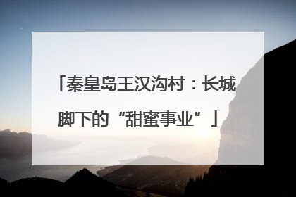 秦皇岛王汉沟村：长城脚下的“甜蜜事业”