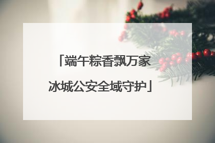 端午粽香飘万家 冰城公安全域守护