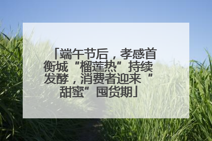 端午节后，孝感首衡城“榴莲热”持续发酵，消费者迎来“甜蜜”囤货期