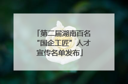 第二届湖南百名“国企工匠”人才宣传名单发布