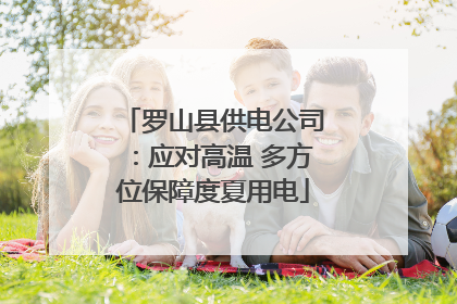 罗山县供电公司：应对高温 多方位保障度夏用电