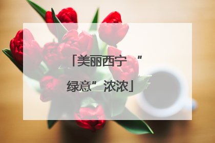 美丽西宁 “绿意”浓浓