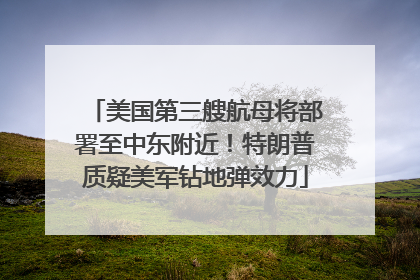 美国第三艘航母将部署至中东附近！特朗普质疑美军钻地弹效力