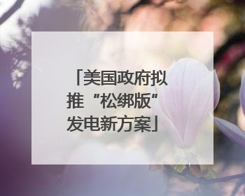美国政府拟推“松绑版”发电新方案