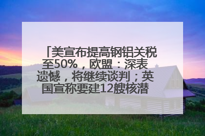 美宣布提高钢铝关税至50%，欧盟：深表遗憾，将继续谈判；英国宣称要建12艘核潜艇；马斯克最新发声：不想为美政府所做的一切承担责任丨早报