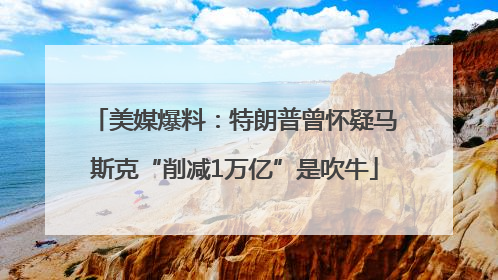美媒爆料：特朗普曾怀疑马斯克“削减1万亿”是吹牛