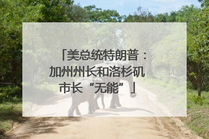 美总统特朗普：加州州长和洛杉矶市长“无能”