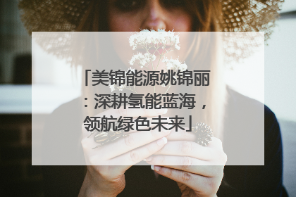 美锦能源姚锦丽：深耕氢能蓝海，领航绿色未来
