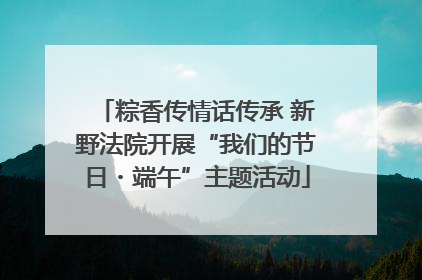 粽香传情话传承 新野法院开展“我们的节日・端午”主题活动