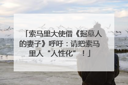 索马里大使借《掘墓人的妻子》呼吁：请把索马里人“人性化”！