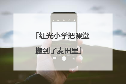 红光小学把课堂搬到了麦田里