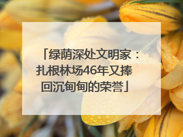 绿荫深处文明家：扎根林场46年又捧回沉甸甸的荣誉