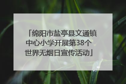 绵阳市盐亭县文通镇中心小学开展第38个世界无烟日宣传活动