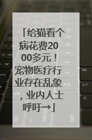 给猫看个病花费2000多元！宠物医疗行业存在乱象，业内人士呼吁→