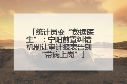 统计员变“数据医生”：宁阳前置纠错机制让审计报表告别“带病上岗”