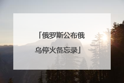 俄罗斯公布俄乌停火备忘录