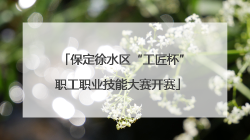 保定徐水区“工匠杯”职工职业技能大赛开赛