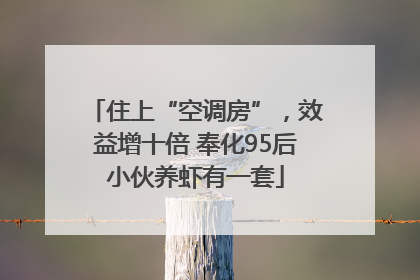 住上“空调房”，效益增十倍 奉化95后小伙养虾有一套