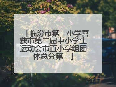 临汾市第一小学喜获市第二届中小学生运动会市直小学组团体总分第一