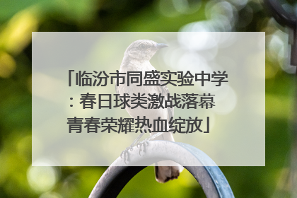 临汾市同盛实验中学：春日球类激战落幕 青春荣耀热血绽放